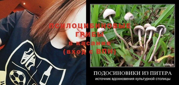 apvp Ладушкин