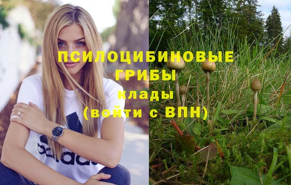 мяу мяу мука Лагань