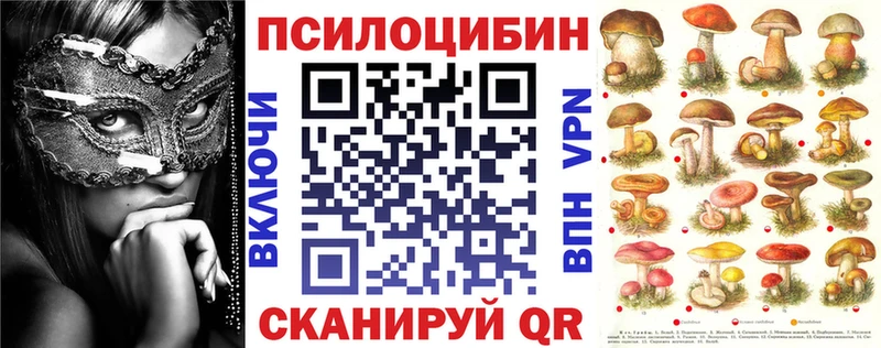 Галлюциногенные грибы Cubensis  Купить закладки  Кола 