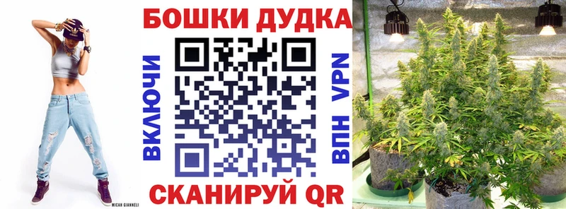 Купить закладки Кола Бошки Шишки Amnesia